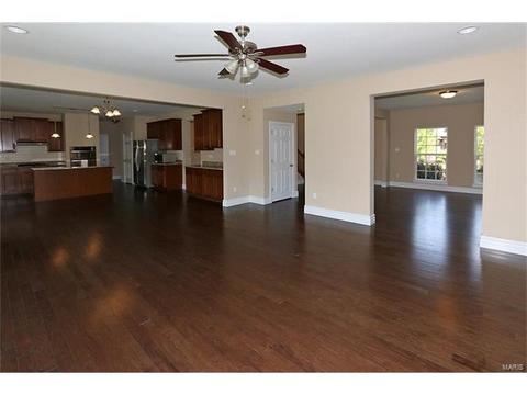 401 Willow Weald Path, Chesterfield, MO 63005 photo 20