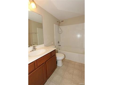 401 Willow Weald Path, Chesterfield, MO 63005 photo 41