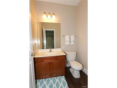 401 Willow Weald Path, Chesterfield, MO 63005 photo 22