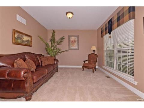 718 Cooper Way Dr, O'fallon, MO 63368 photo 6