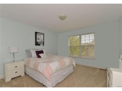 718 Cooper Way Dr, O'fallon, MO 63368 photo 20