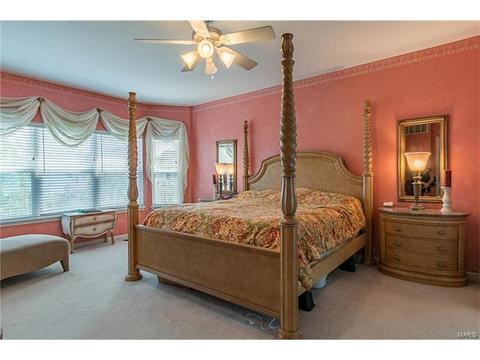 376 Remington Way Dr, Ballwin, MO 63021 photo 23