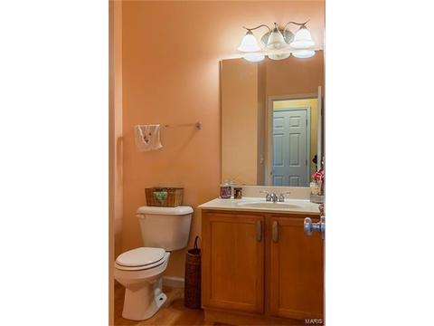 376 Remington Way Dr, Ballwin, MO 63021 photo 22