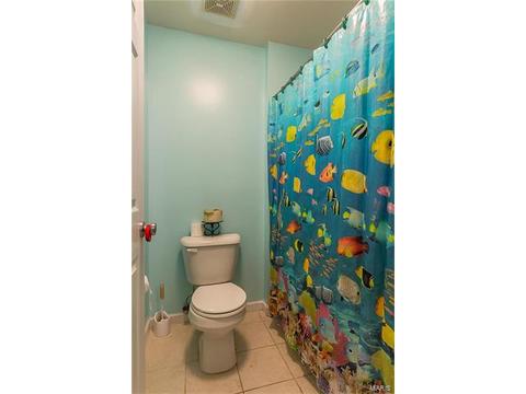 376 Remington Way Dr, Ballwin, MO 63021 photo 32
