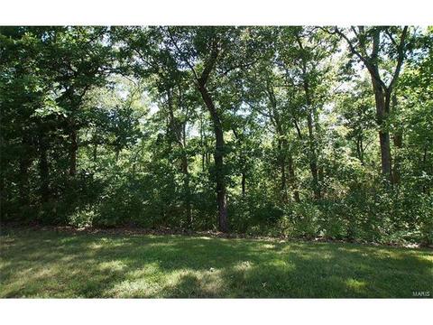 950 Timber Glen Ln, Ballwin, MO 63021 photo 40