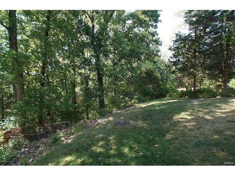 950 Timber Glen Ln, Ballwin, MO 63021 photo 38