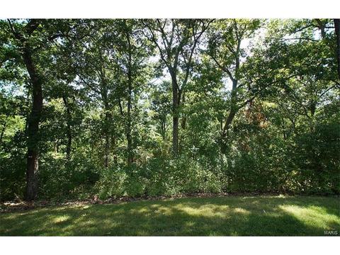 950 Timber Glen Ln, Ballwin, MO 63021 photo 41