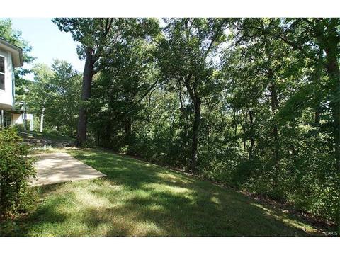 950 Timber Glen Ln, Ballwin, MO 63021 photo 39