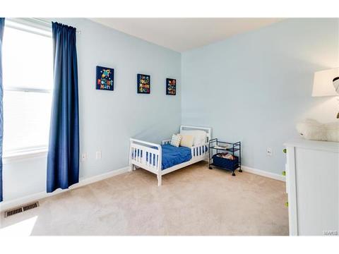 842 Kylewood Pl, Ballwin, MO 63021 photo 29