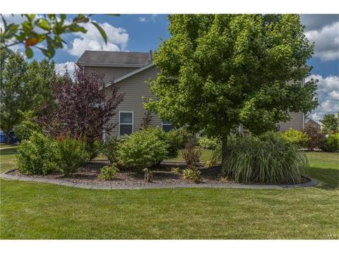 403 Covered Bridge Ln, O'fallon, MO 63368 photo 68