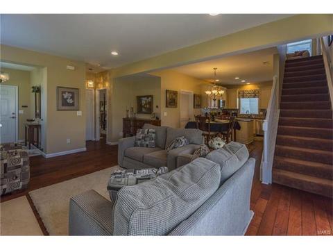 403 Covered Bridge Ln, O'fallon, MO 63368 photo 13
