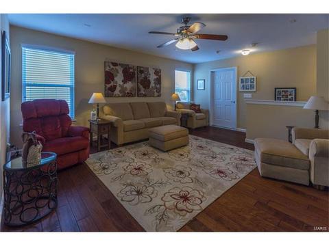 403 Covered Bridge Ln, O'fallon, MO 63368 photo 49