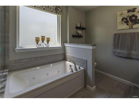 403 Covered Bridge Ln, O'fallon, MO 63368 photo 36