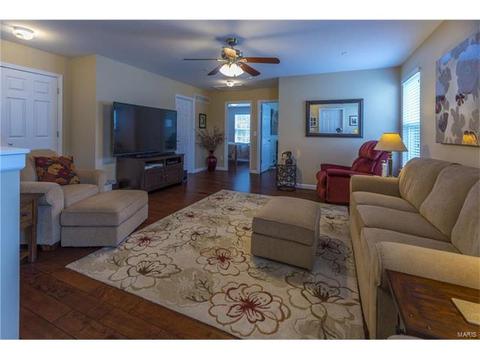 403 Covered Bridge Ln, O'fallon, MO 63368 photo 47