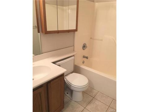 864 Hardcastle Dr, O'fallon, MO 63366 photo 17