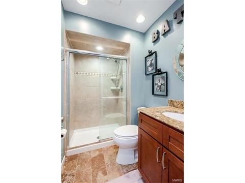 1042 Treetop Trail Dr, Ballwin, MO 63021 photo 9