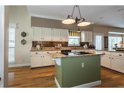 440 Arbor Meadow Ct, Ballwin, MO 63021 photo 16
