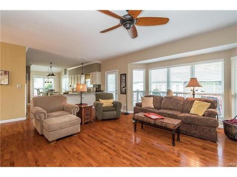 440 Arbor Meadow Ct, Ballwin, MO 63021 photo 13