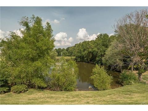 440 Arbor Meadow Ct, Ballwin, MO 63021 photo 43