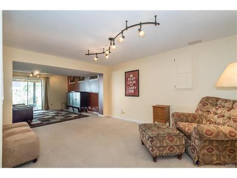 440 Arbor Meadow Ct, Ballwin, MO 63021 photo 32