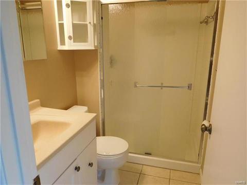 730 Stone Cyn, Ballwin, MO 63021 photo 19