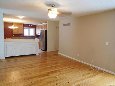 730 Stone Cyn, Ballwin, MO 63021 photo 13