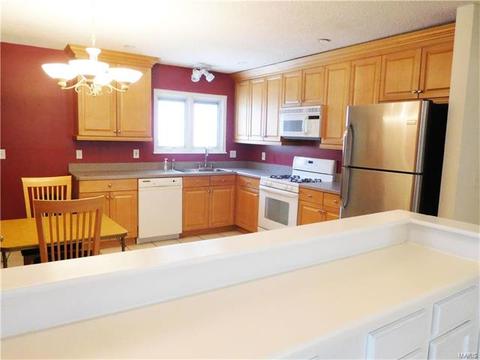 730 Stone Cyn, Ballwin, MO 63021 photo 14
