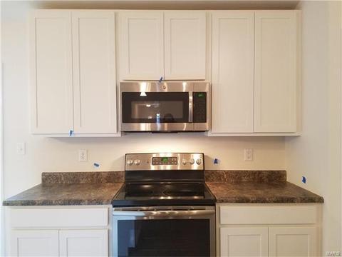 5301 Trailhead Ct, Eureka, MO 63025 photo 5