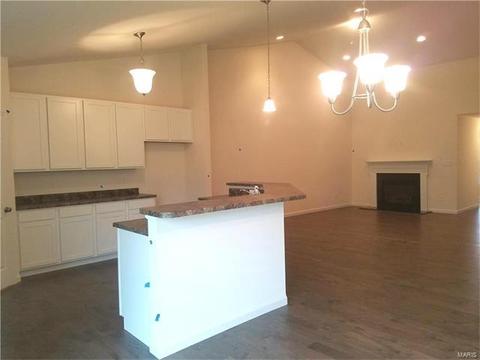 5301 Trailhead Ct, Eureka, MO 63025 photo 3