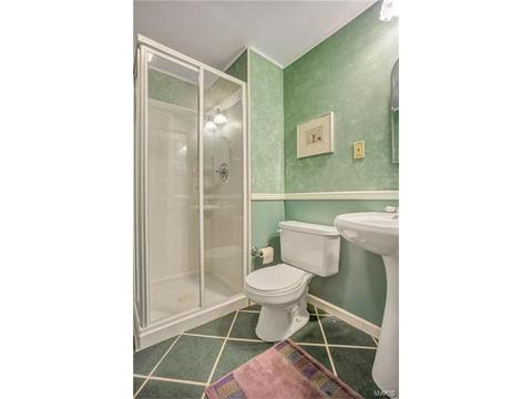 436 Terrington Dr, Ballwin, MO 63021 photo 27