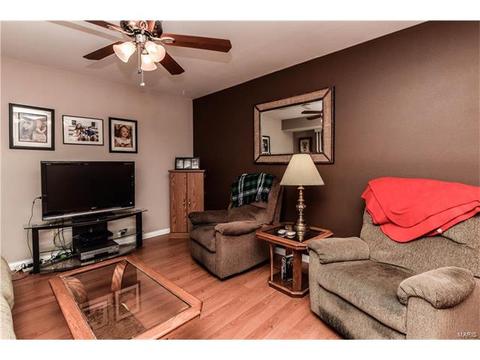 513 Arborwood Dr, Ballwin, MO 63021 photo 5