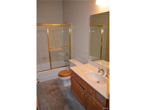 528 Autumn Blf, Ellisville, MO 63021 photo 31