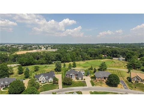 628 Loughmor Pass, Weldon Spring, MO 63304 photo 57