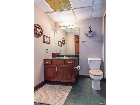 628 Loughmor Pass, Weldon Spring, MO 63304 photo 41