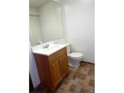 604 Durango, O'fallon, MO 63368 photo 19