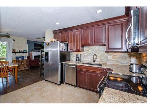 1009 Alpine Ridge Dr, Ballwin, MO 63021 photo 4