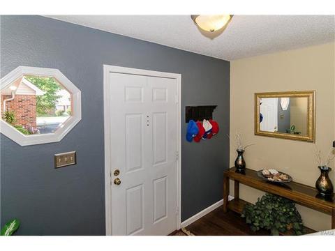 1009 Alpine Ridge Dr, Ballwin, MO 63021 photo 14