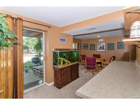 1009 Alpine Ridge Dr, Ballwin, MO 63021 photo 31