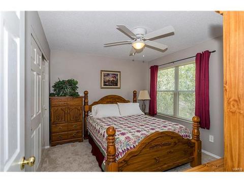 1009 Alpine Ridge Dr, Ballwin, MO 63021 photo 20