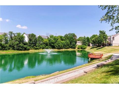1009 Alpine Ridge Dr, Ballwin, MO 63021 photo 42