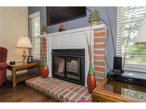 1009 Alpine Ridge Dr, Ballwin, MO 63021 photo 12