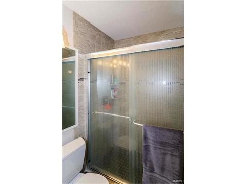 1009 Alpine Ridge Dr, Ballwin, MO 63021 photo 25