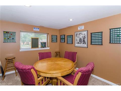 1009 Alpine Ridge Dr, Ballwin, MO 63021 photo 29