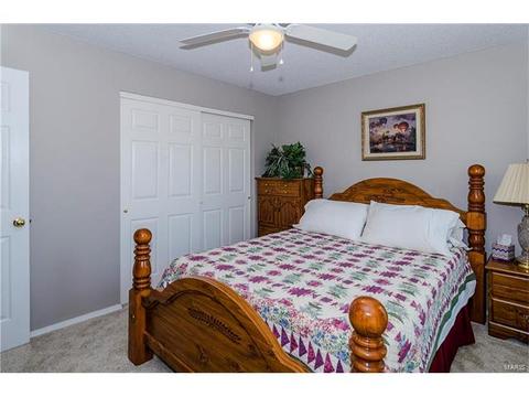 1009 Alpine Ridge Dr, Ballwin, MO 63021 photo 21