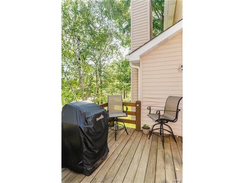 1009 Alpine Ridge Dr, Ballwin, MO 63021 photo 34