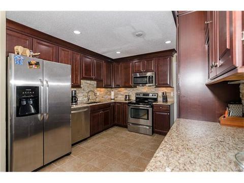 1009 Alpine Ridge Dr, Ballwin, MO 63021 photo 7