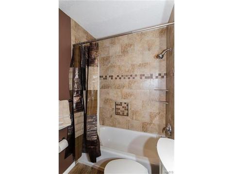 1009 Alpine Ridge Dr, Ballwin, MO 63021 photo 18
