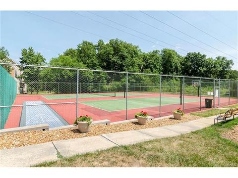 1009 Alpine Ridge Dr, Ballwin, MO 63021 photo 41