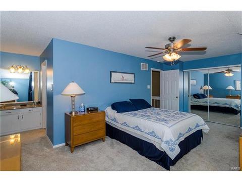 1009 Alpine Ridge Dr, Ballwin, MO 63021 photo 23