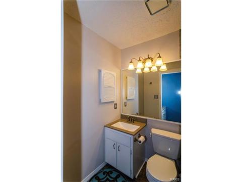 1009 Alpine Ridge Dr, Ballwin, MO 63021 photo 24